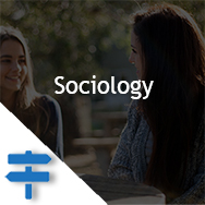 SociologyL3