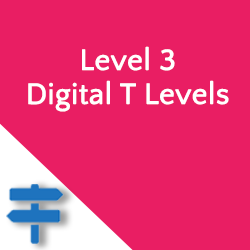 Level3DigitalTLevels